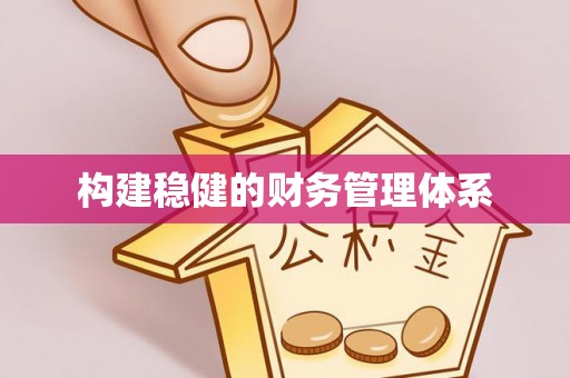 修武构建稳健的财务管理体系