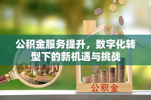 修武公积金服务提升，数字化转型下的新机遇与挑战