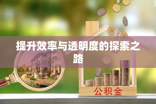 修武提升效率与透明度的探索之路