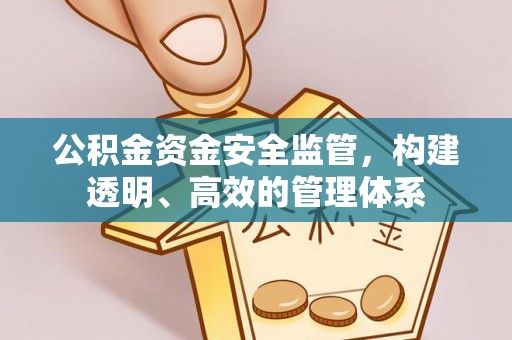 修武公积金资金安全监管，构建透明、高效的管理体系