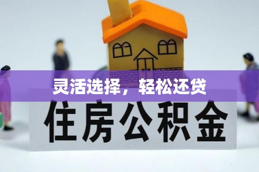 修武灵活选择，轻松还贷