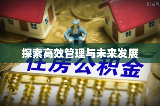 修武探索高效管理与未来发展