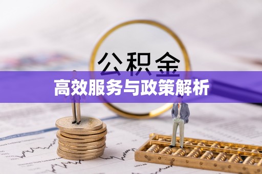 修武高效服务与政策解析