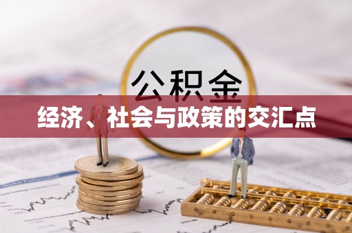 修武经济、社会与政策的交汇点