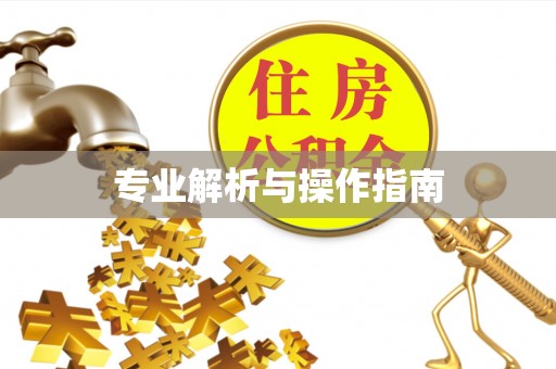 修武专业解析与操作指南