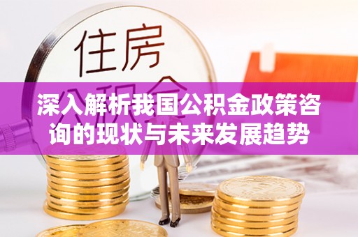 修武深入解析我国公积金政策咨询的现状与未来发展趋势