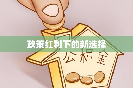 修武政策红利下的新选择