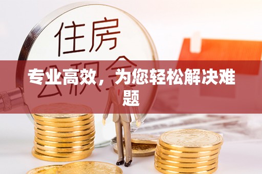 修武专业高效，为您轻松解决难题