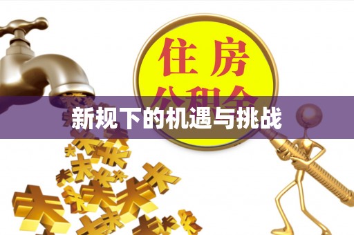 修武新规下的机遇与挑战