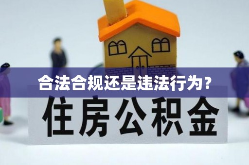 修武合法合规还是违法行为？