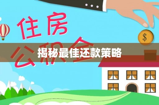 修武揭秘最佳还款策略