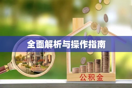 修武全面解析与操作指南